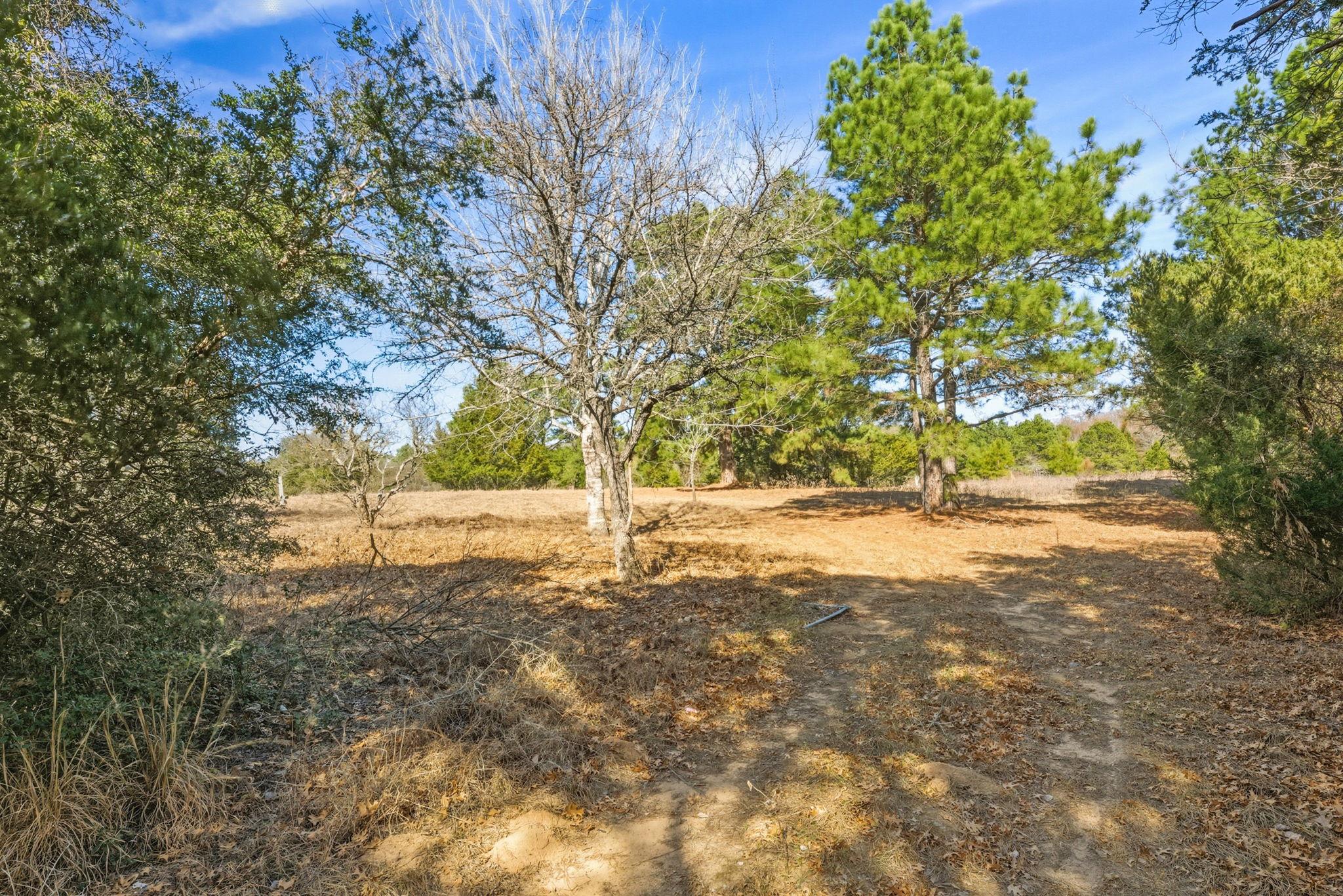 171 Mustang Drive Paige TX 78659