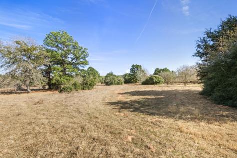 171 Mustang Drive Paige TX 78659