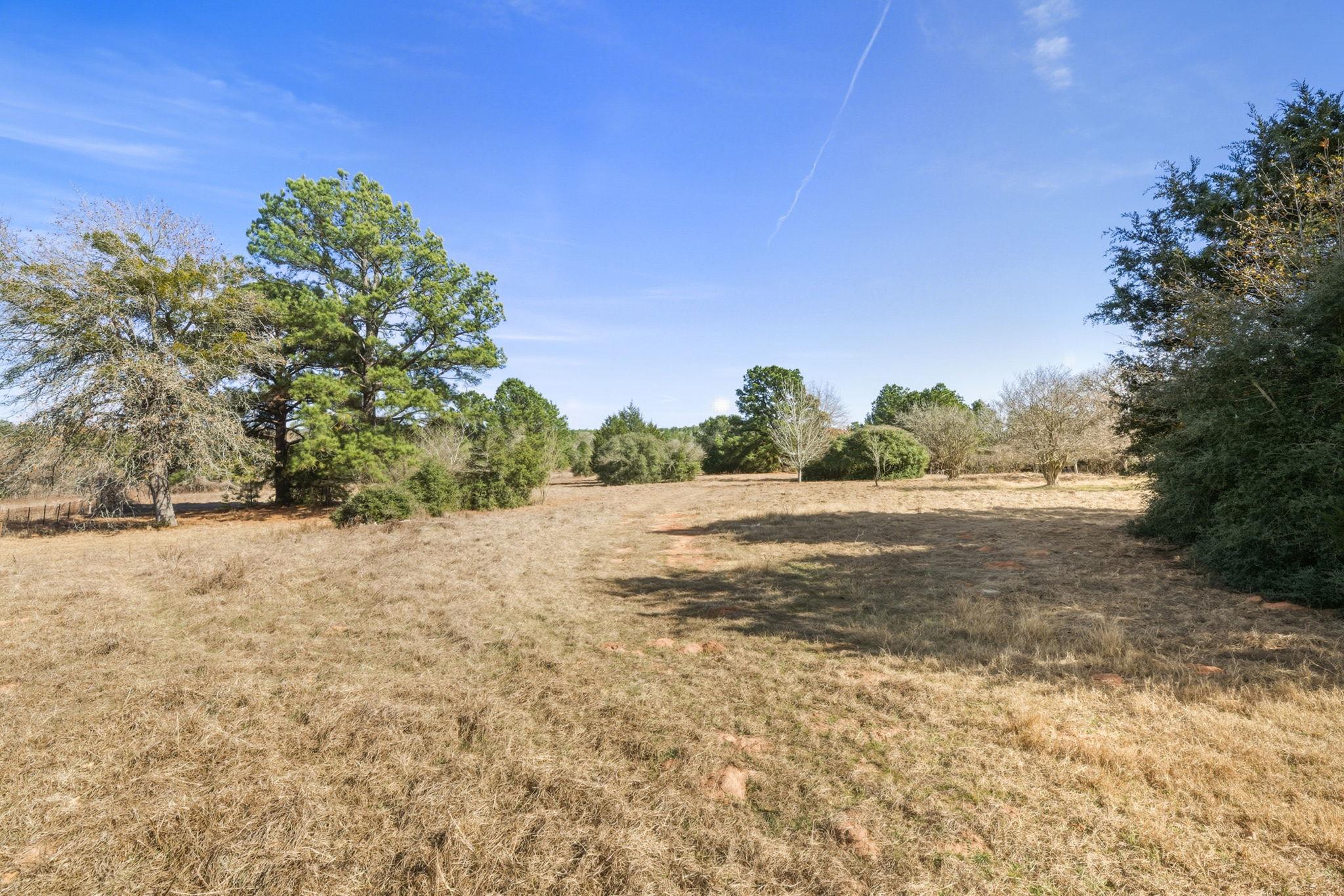 171 Mustang Drive Paige TX 78659