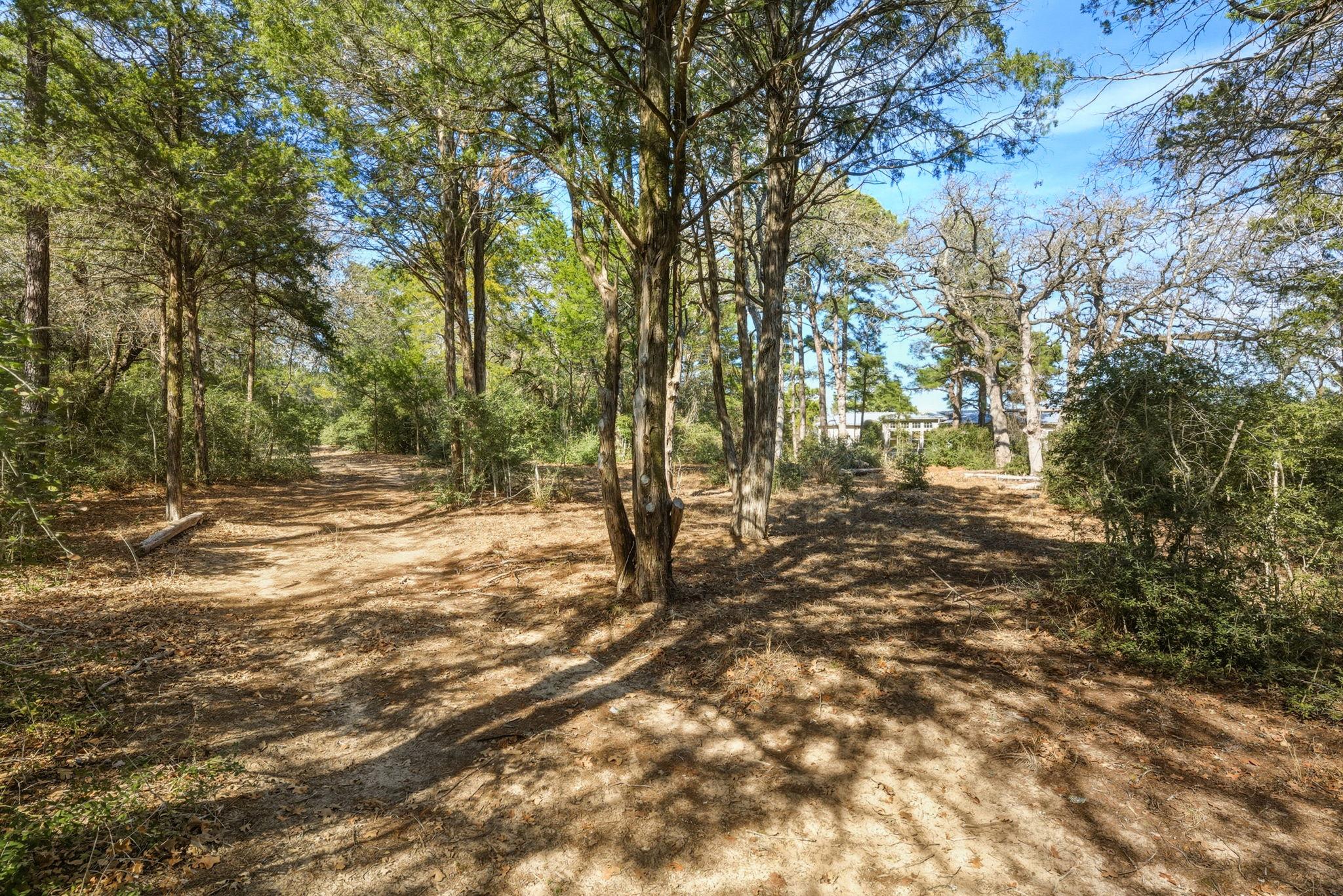 171 Mustang Drive Paige TX 78659