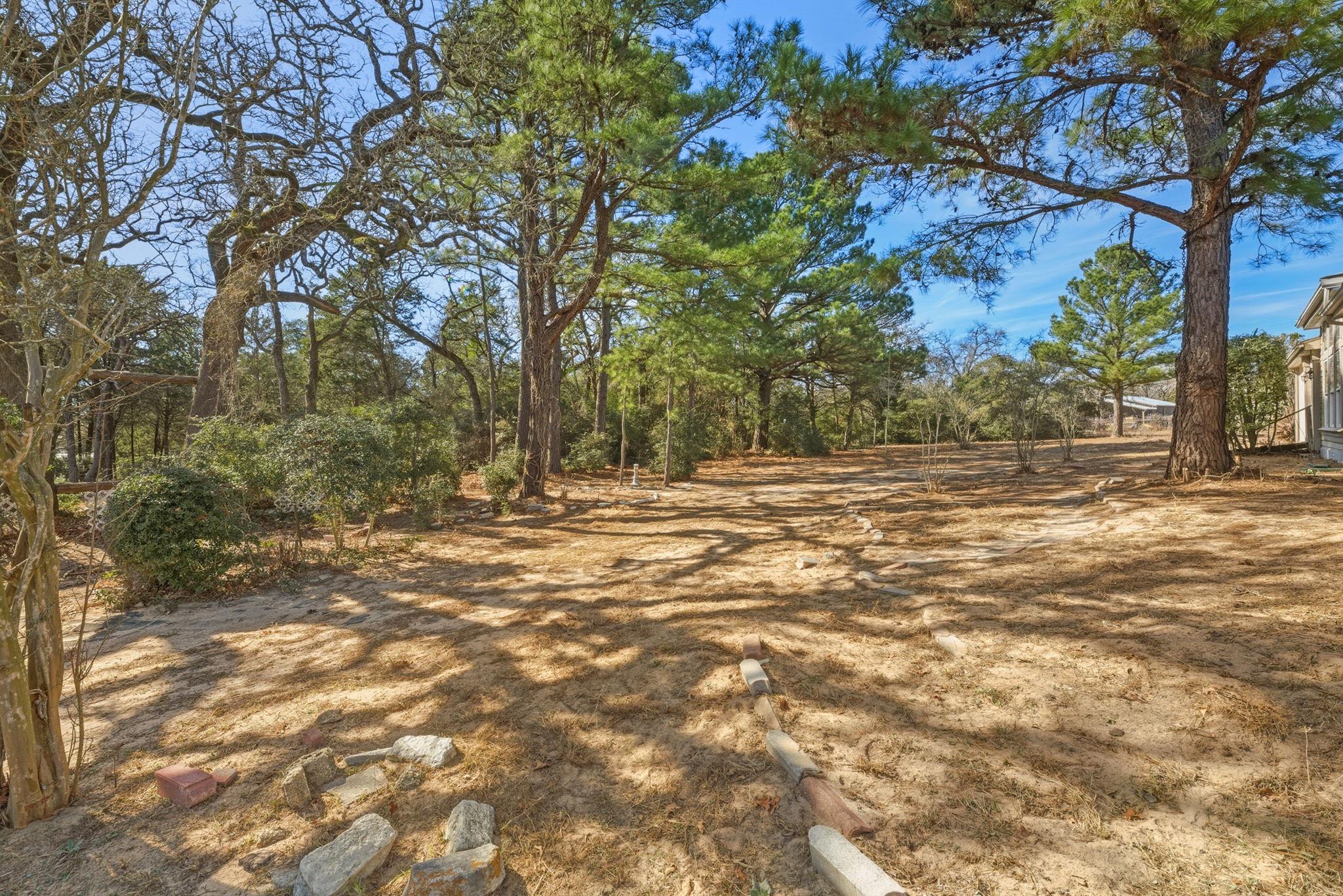 171 Mustang Drive Paige TX 78659