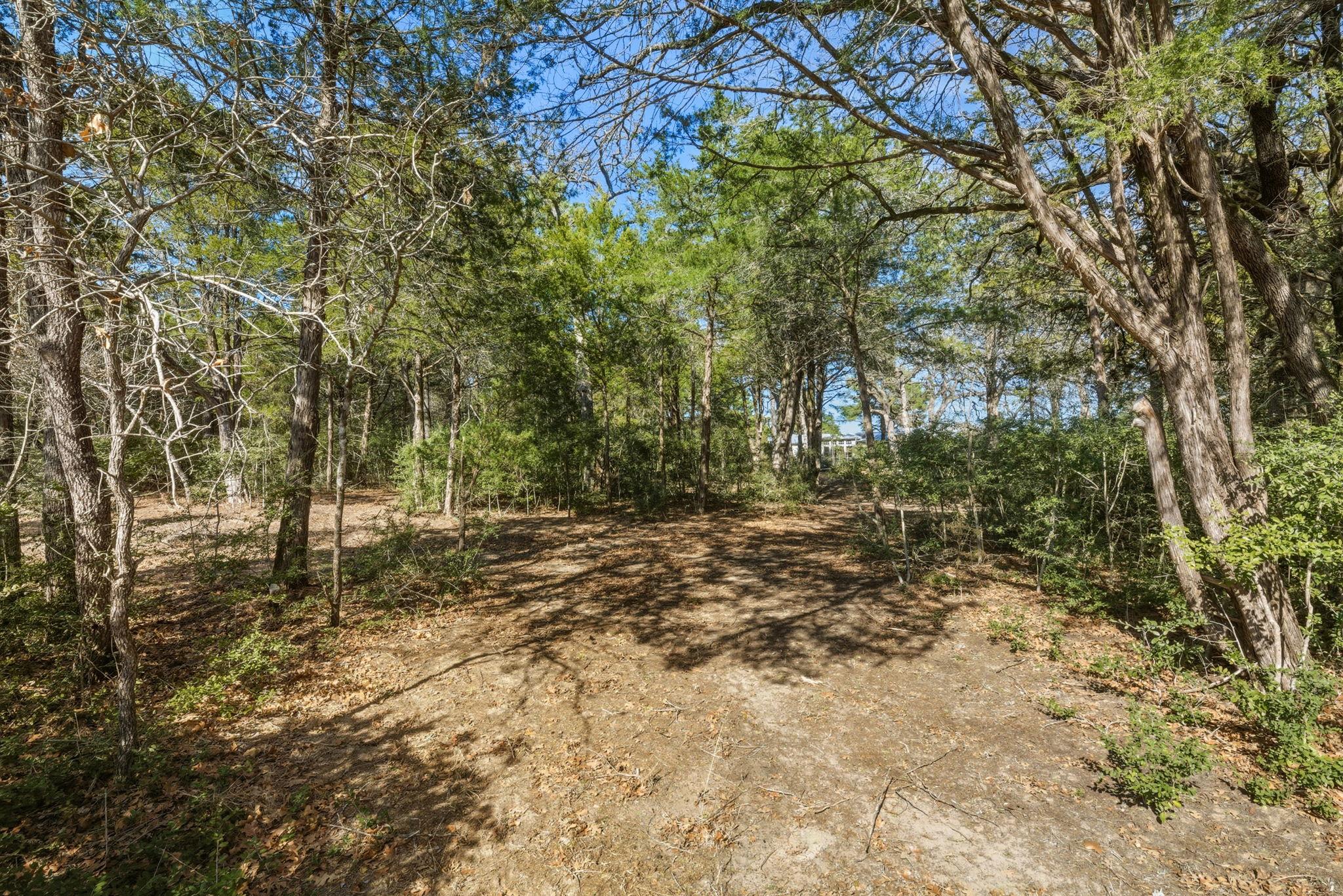 171 Mustang Drive Paige TX 78659