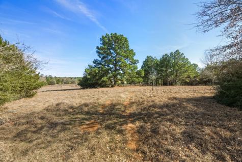 171 Mustang Drive Paige TX 78659