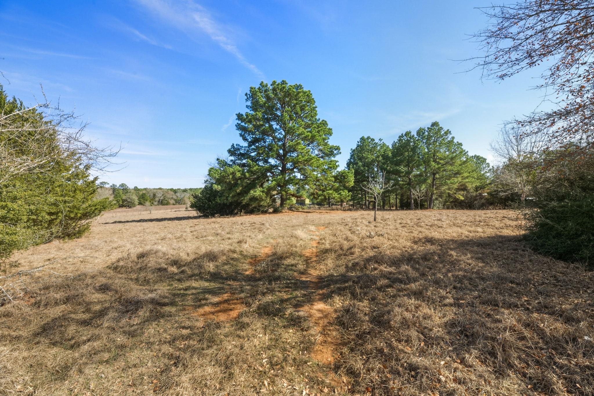171 Mustang Drive Paige TX 78659