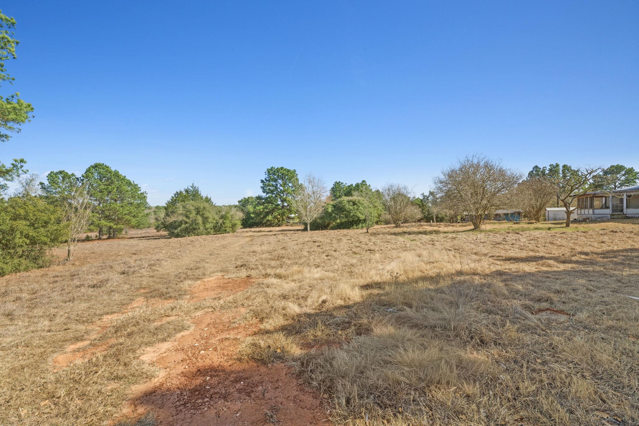 171 Mustang Drive Paige TX 78659