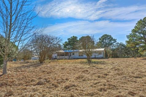 171 Mustang Drive Paige TX 78659