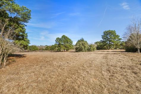 171 Mustang Drive Paige TX 78659