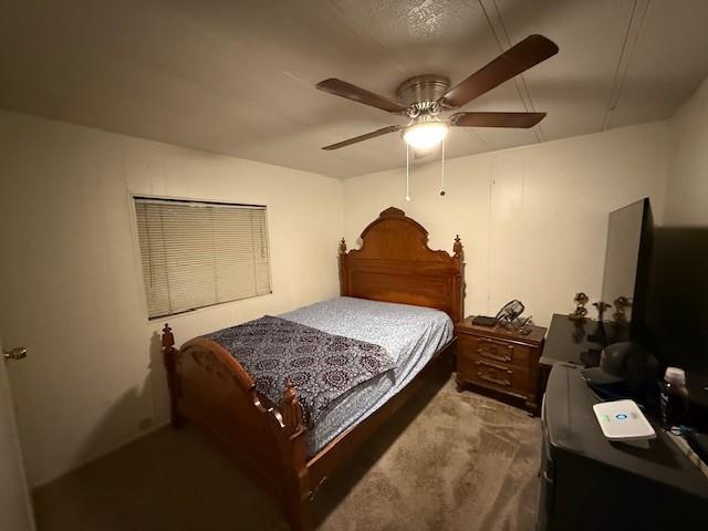 13419 Frostdale Drive Cedar Park TX 78613