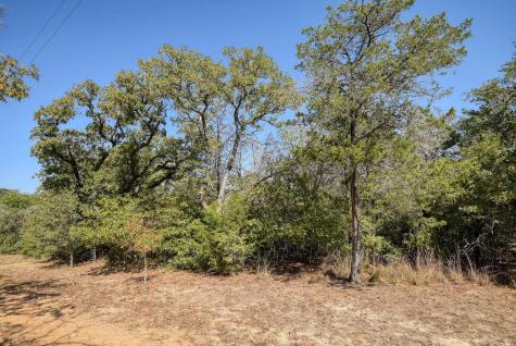 181 Lockwood Road Red Rock TX 78662