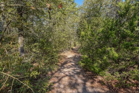 181 Lockwood Road Red Rock TX 78662