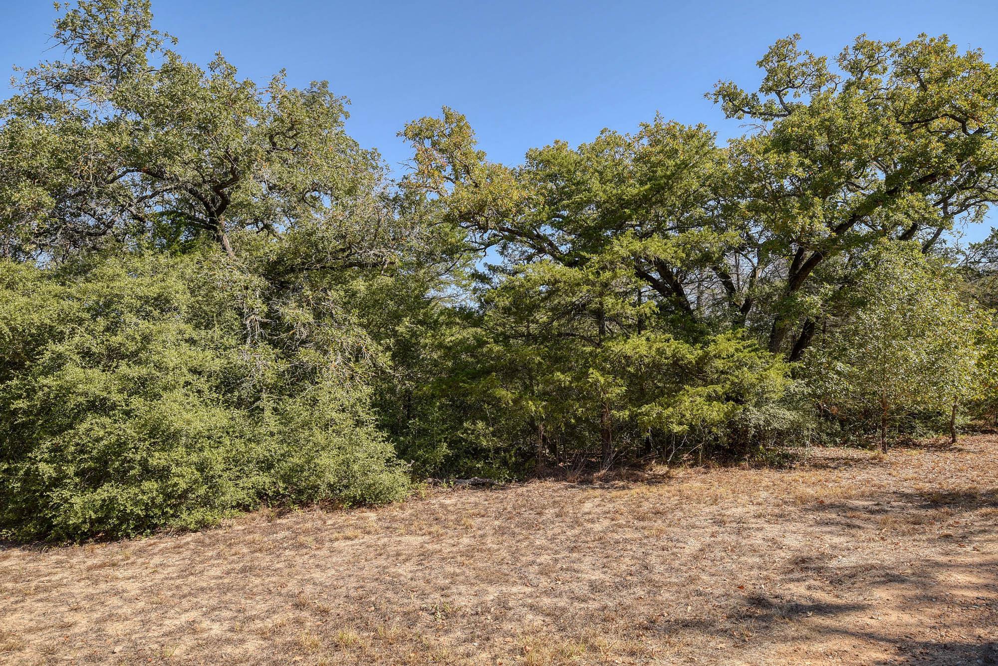 181 Lockwood Road Red Rock TX 78662