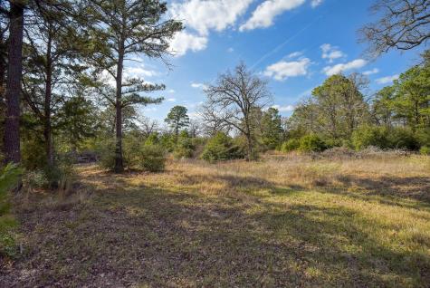 552 S Old Potato Road Paige TX 78659