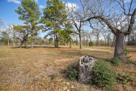 552 S Old Potato Road Paige TX 78659