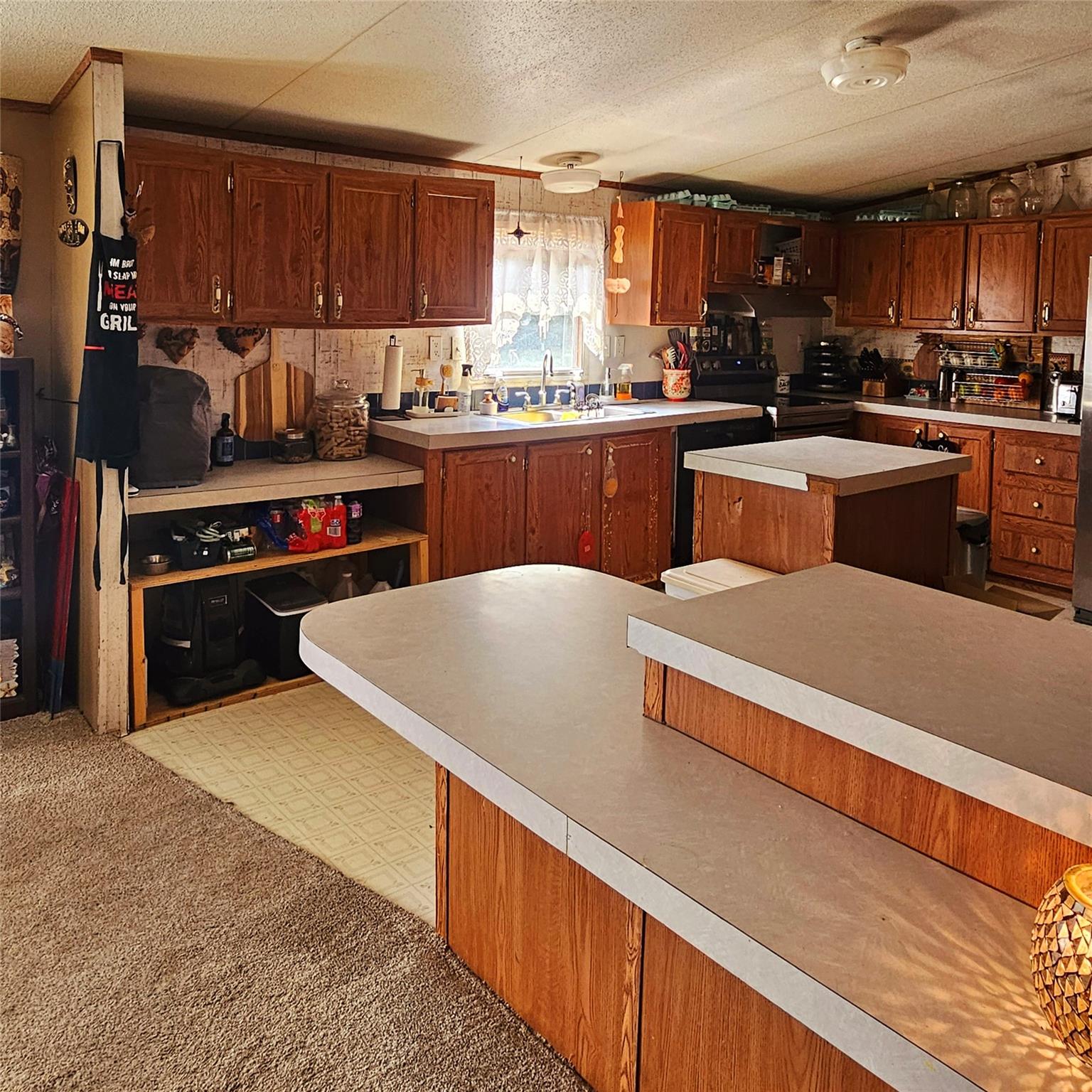 417 Hidden Oaks Drive Elgin TX 78621