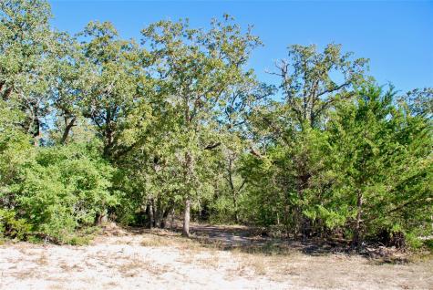 1727 Davis Road Muldoon TX 78949