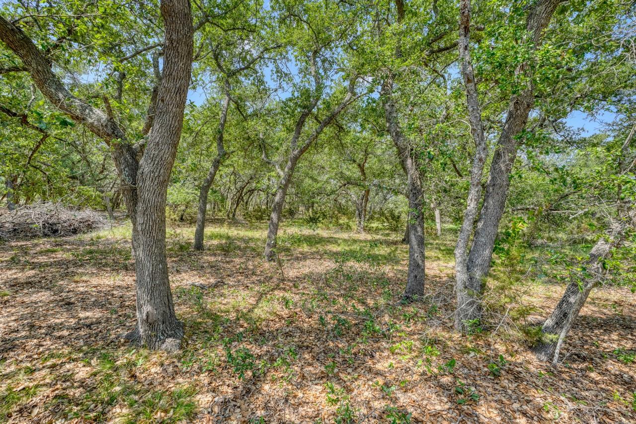 545 County Road 258 Bertram TX 78605