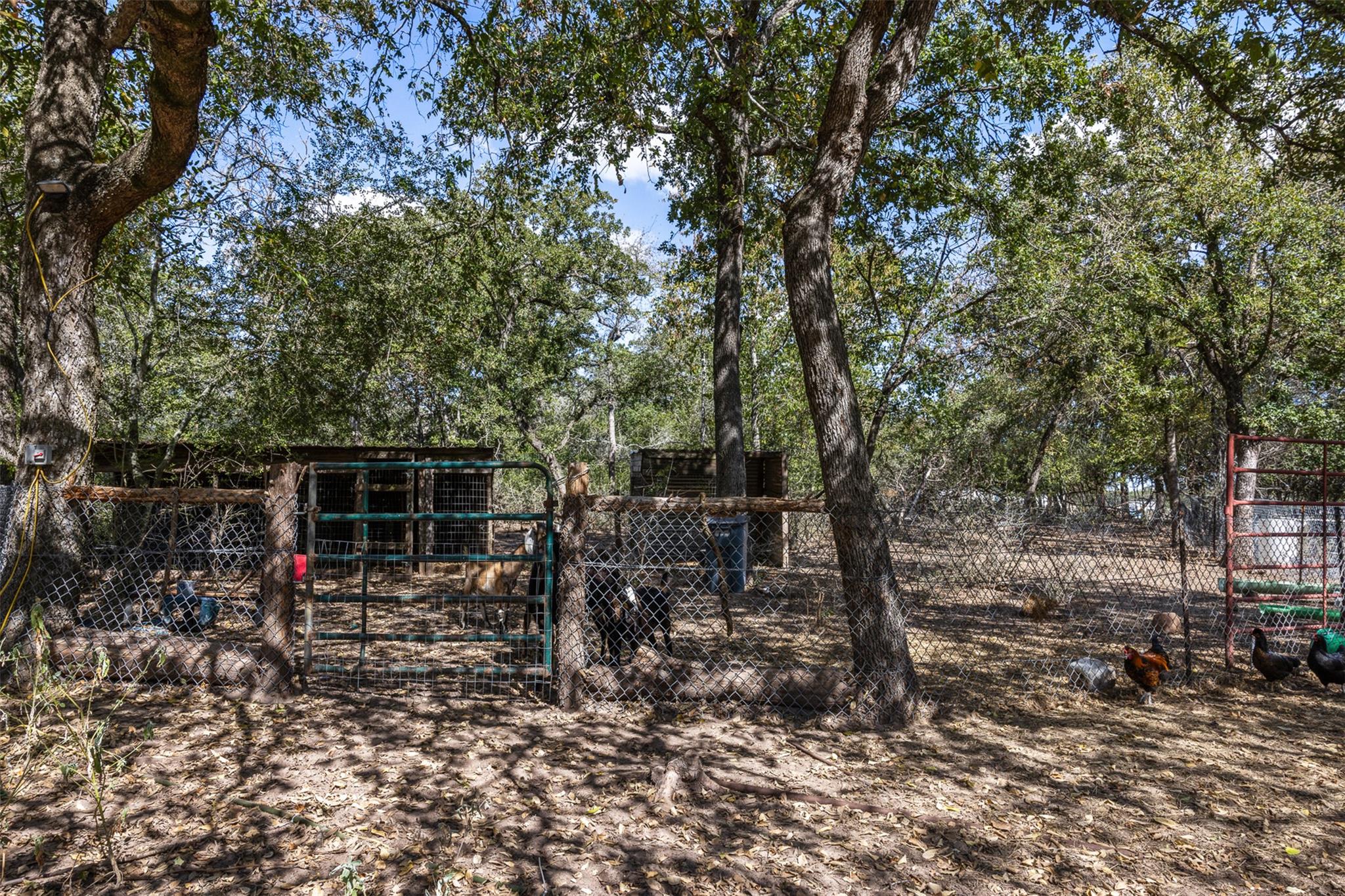 2135 Mule Creek Road Harwood TX 78632