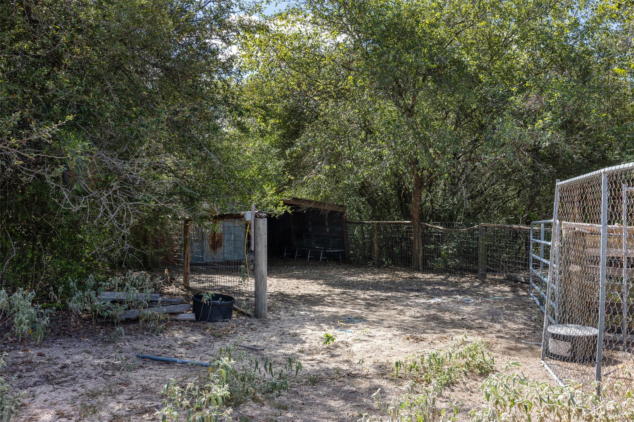 2135 Mule Creek Road Harwood TX 78632