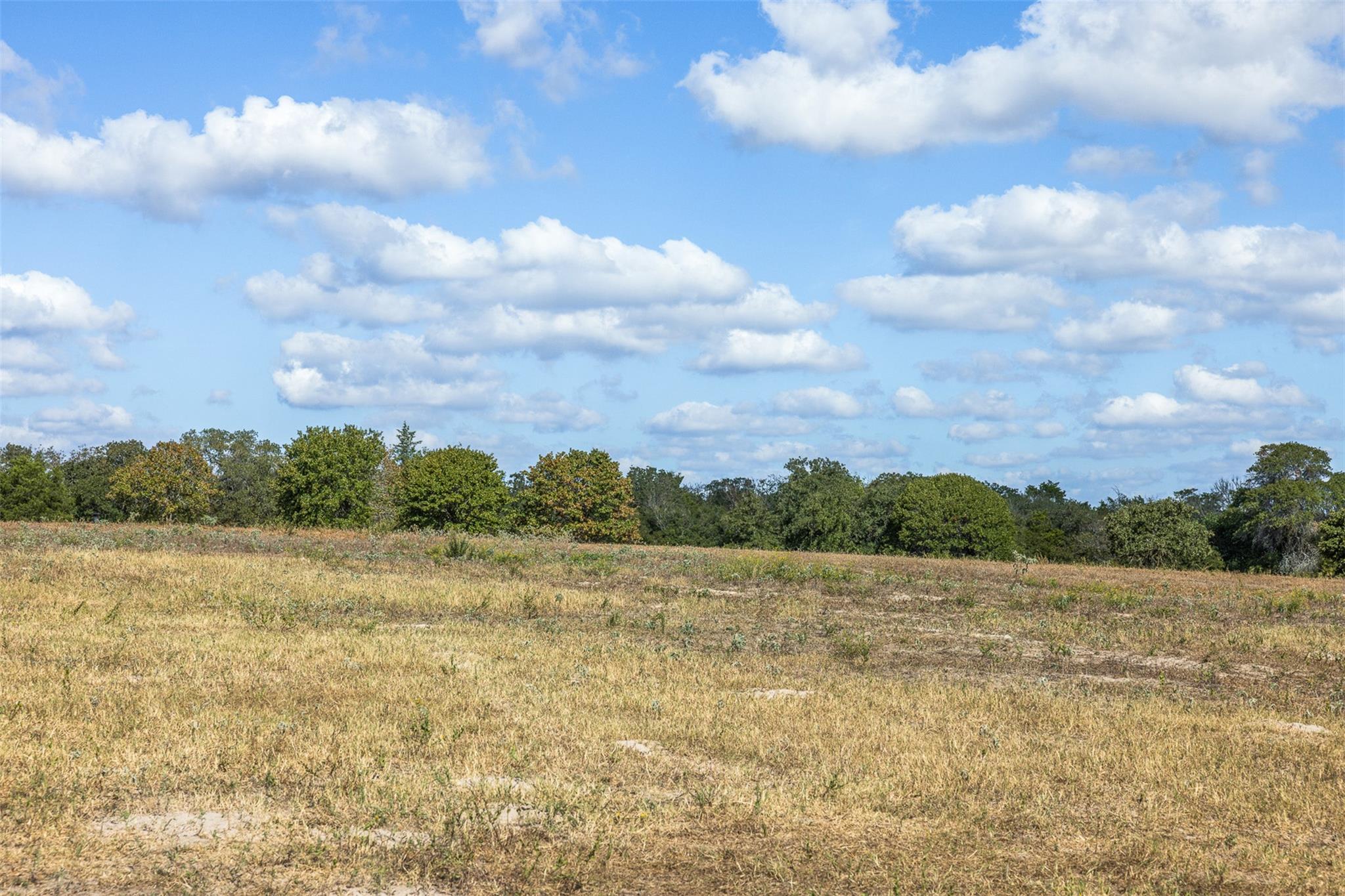 2135 Mule Creek Road Harwood TX 78632