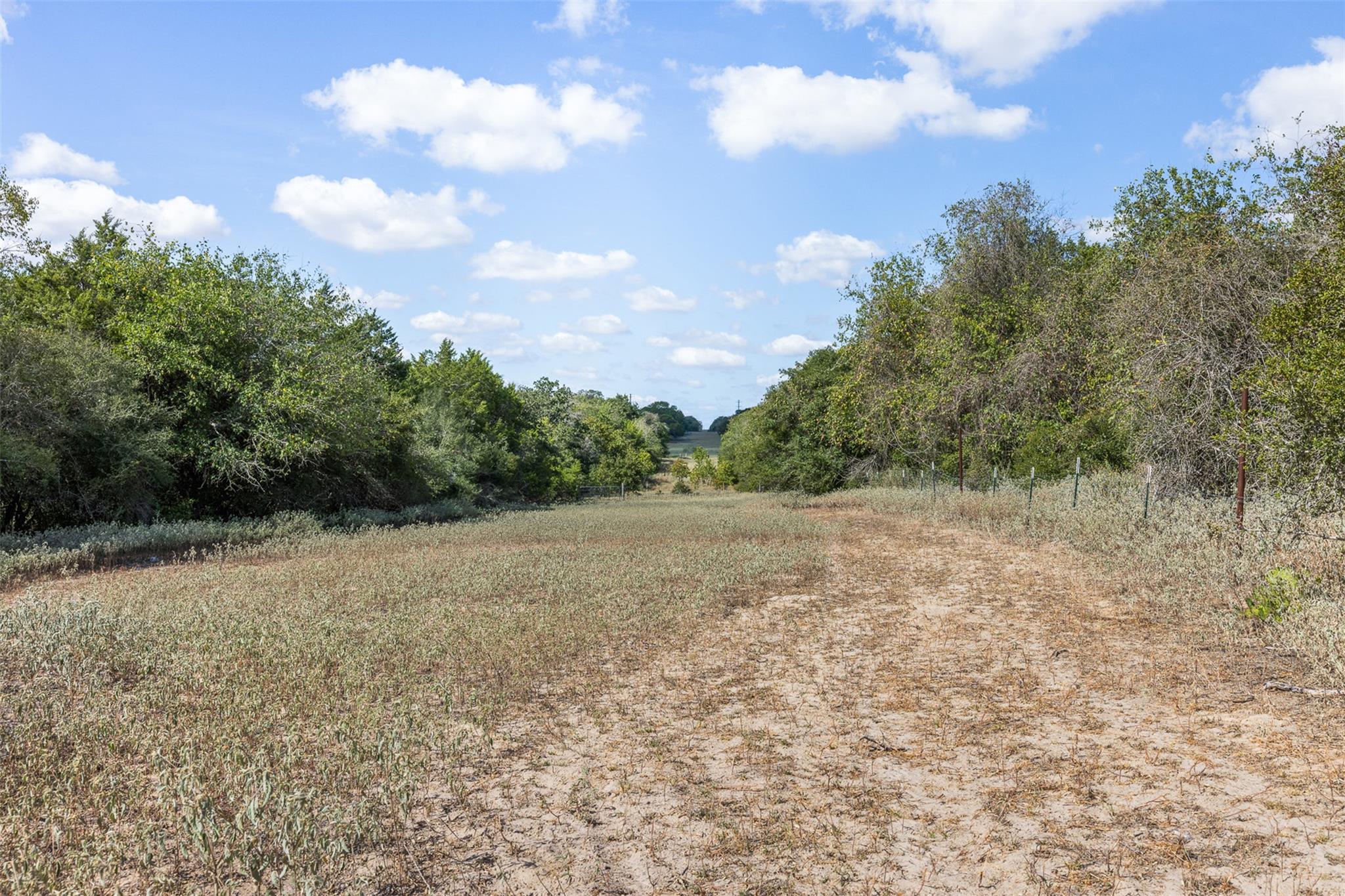 2135 Mule Creek Road Harwood TX 78632
