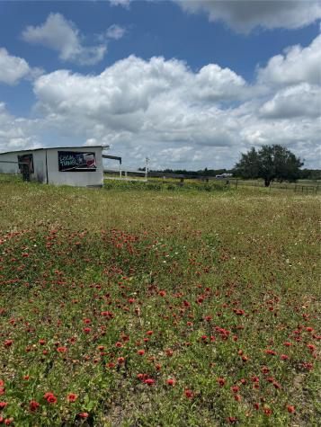 2135 Mule Creek Road Harwood TX 78632