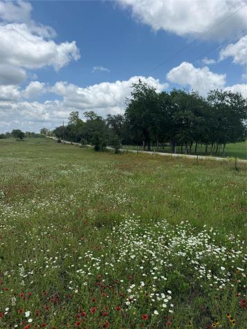 2135 Mule Creek Road Harwood TX 78632