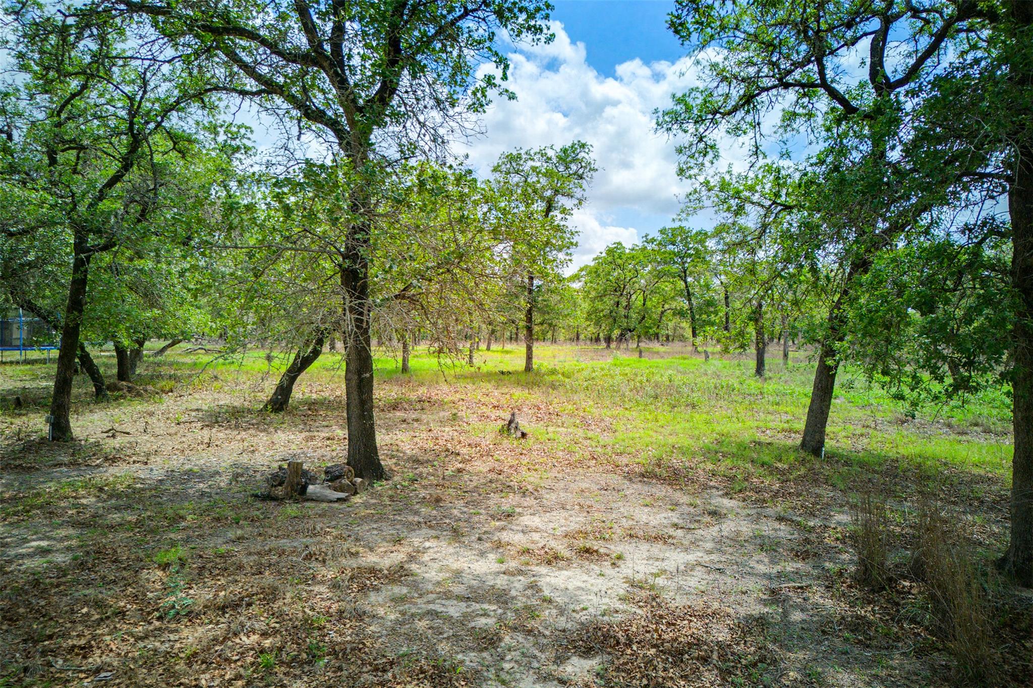 501 Turkey Tree Trail Seguin TX 78155