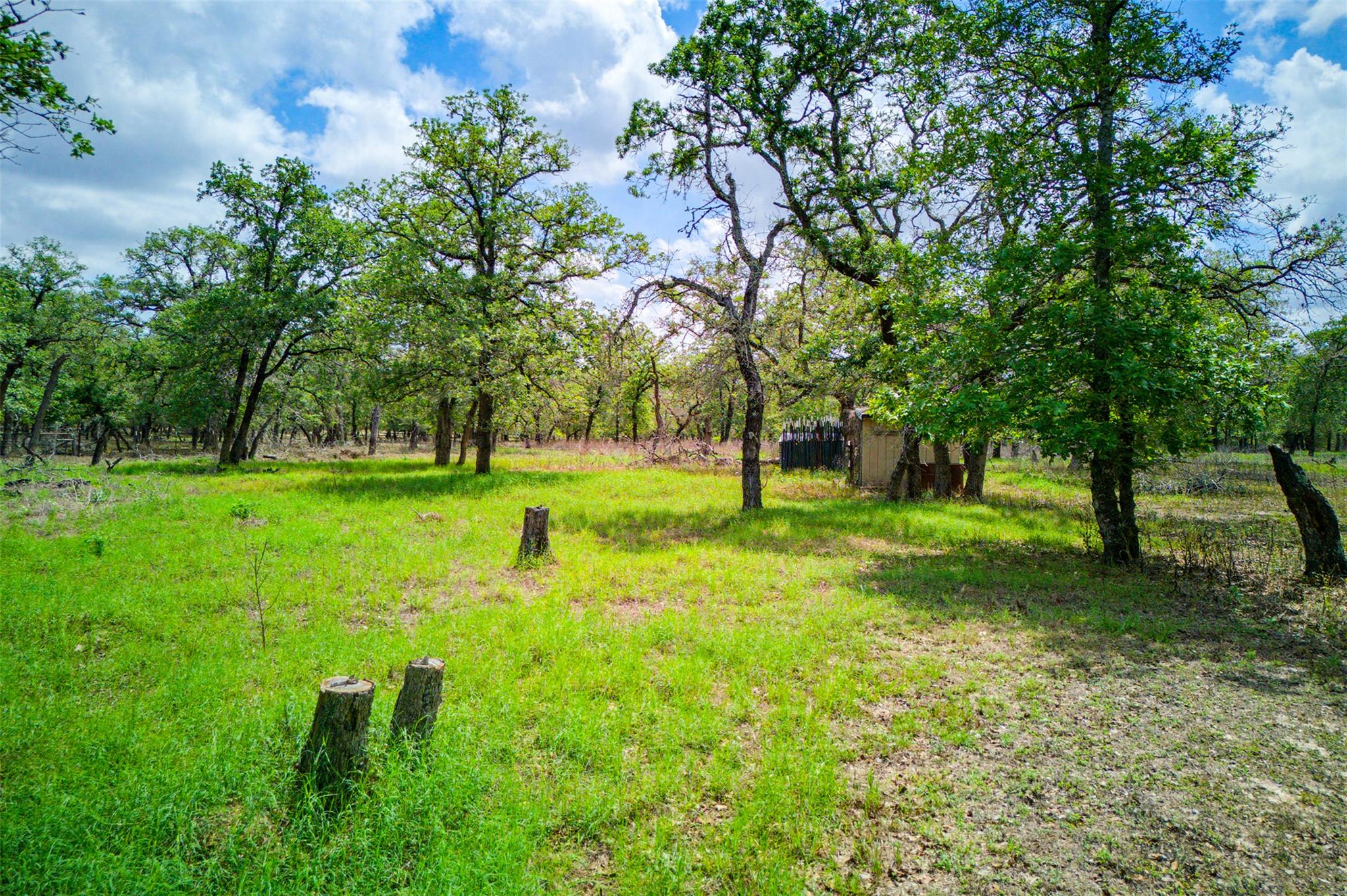 501 Turkey Tree Trail Seguin TX 78155