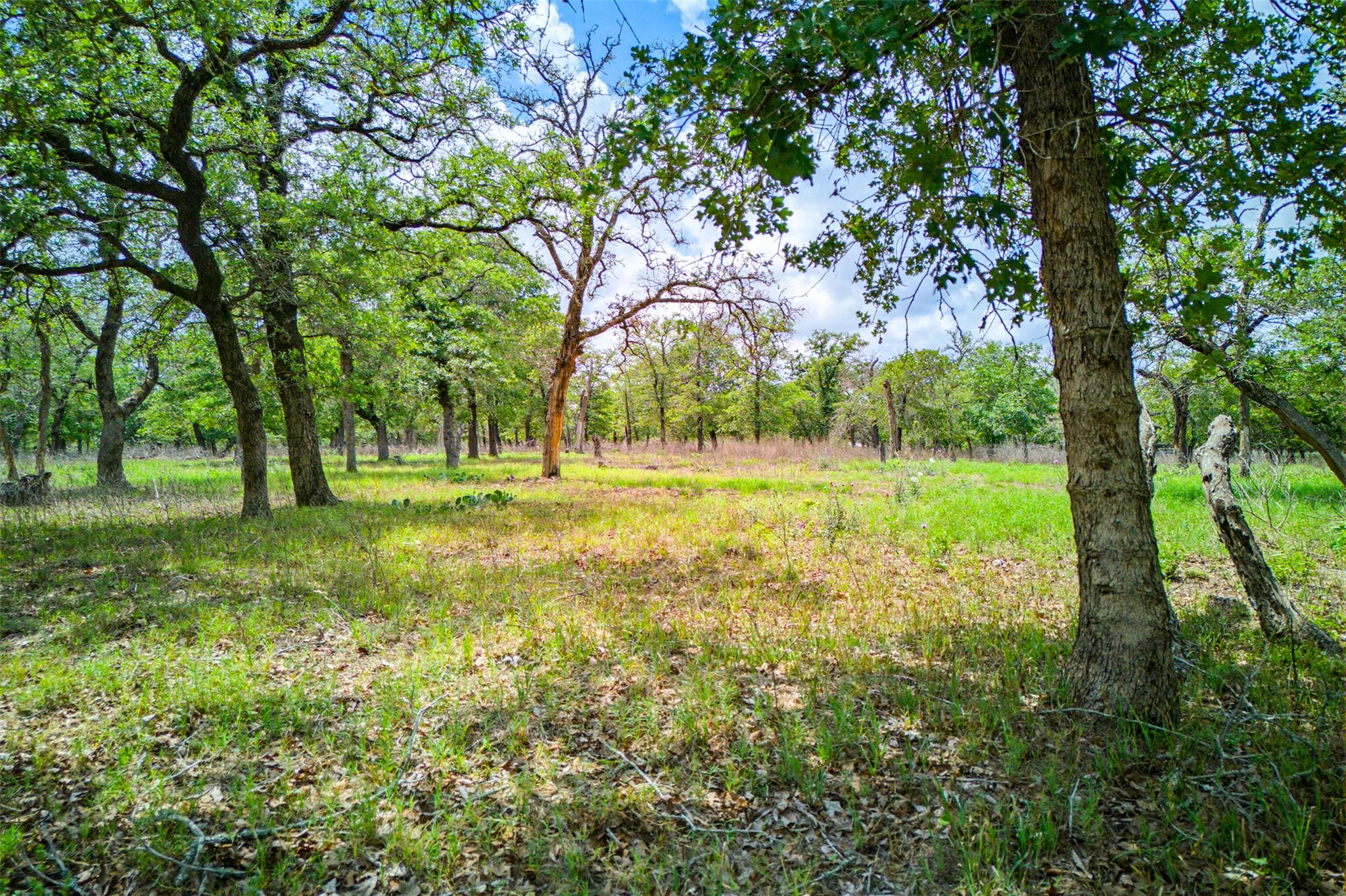 501 Turkey Tree Trail Seguin TX 78155
