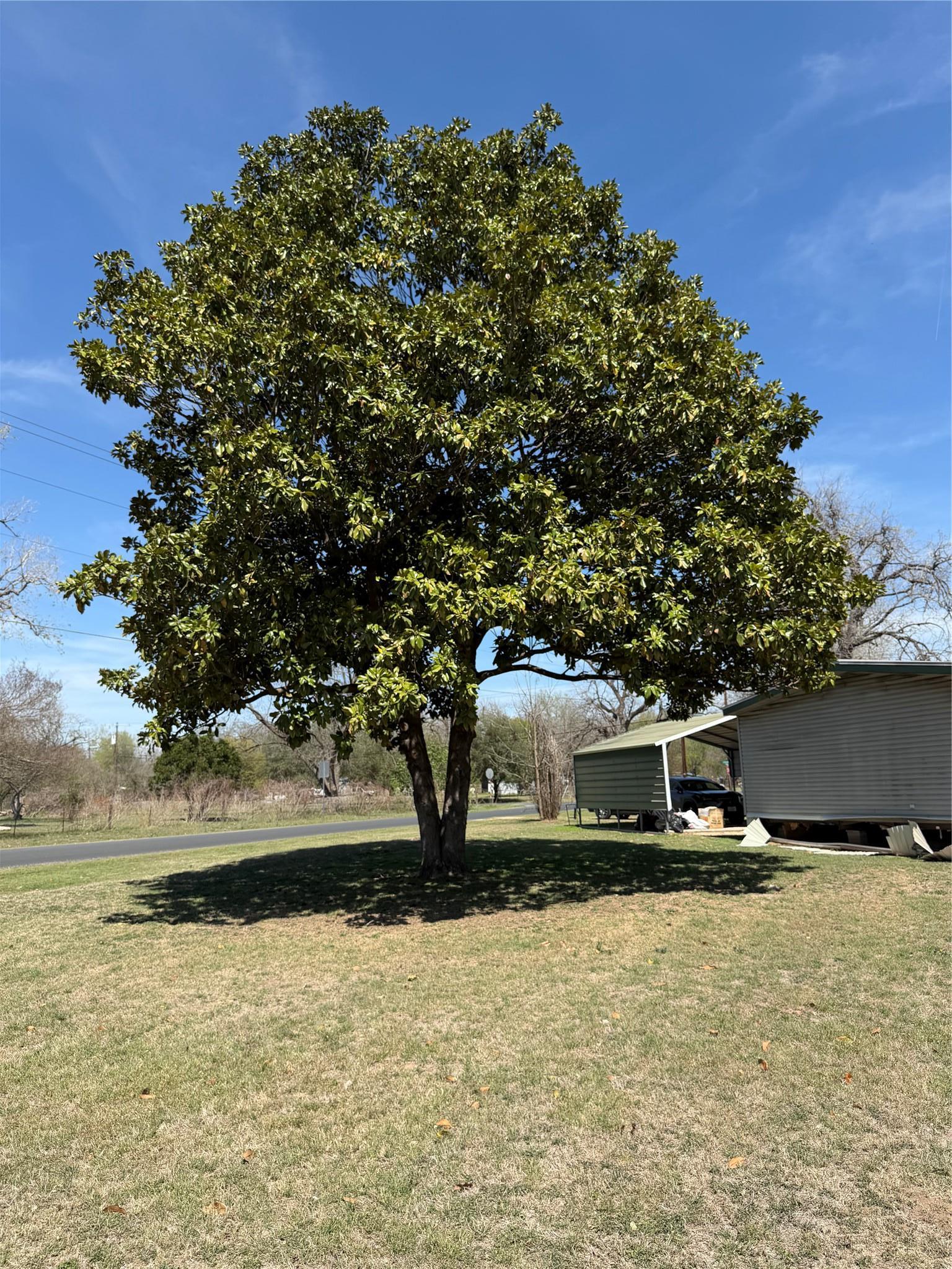 1603 Man O War Drive Del Valle TX 78617