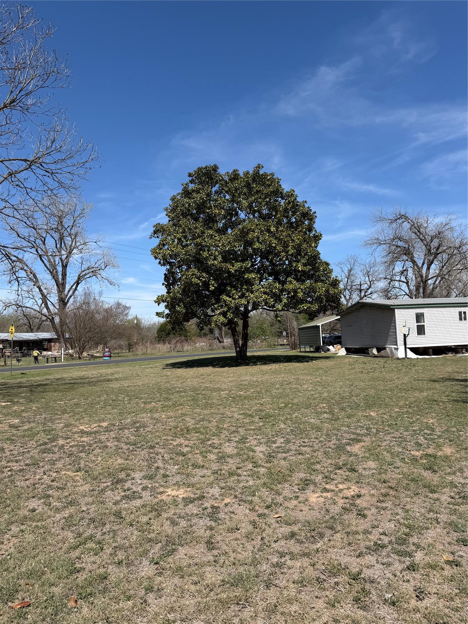 1603 Man O War Drive Del Valle TX 78617