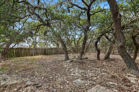217 Rousey Street Canyon Lake TX 78133