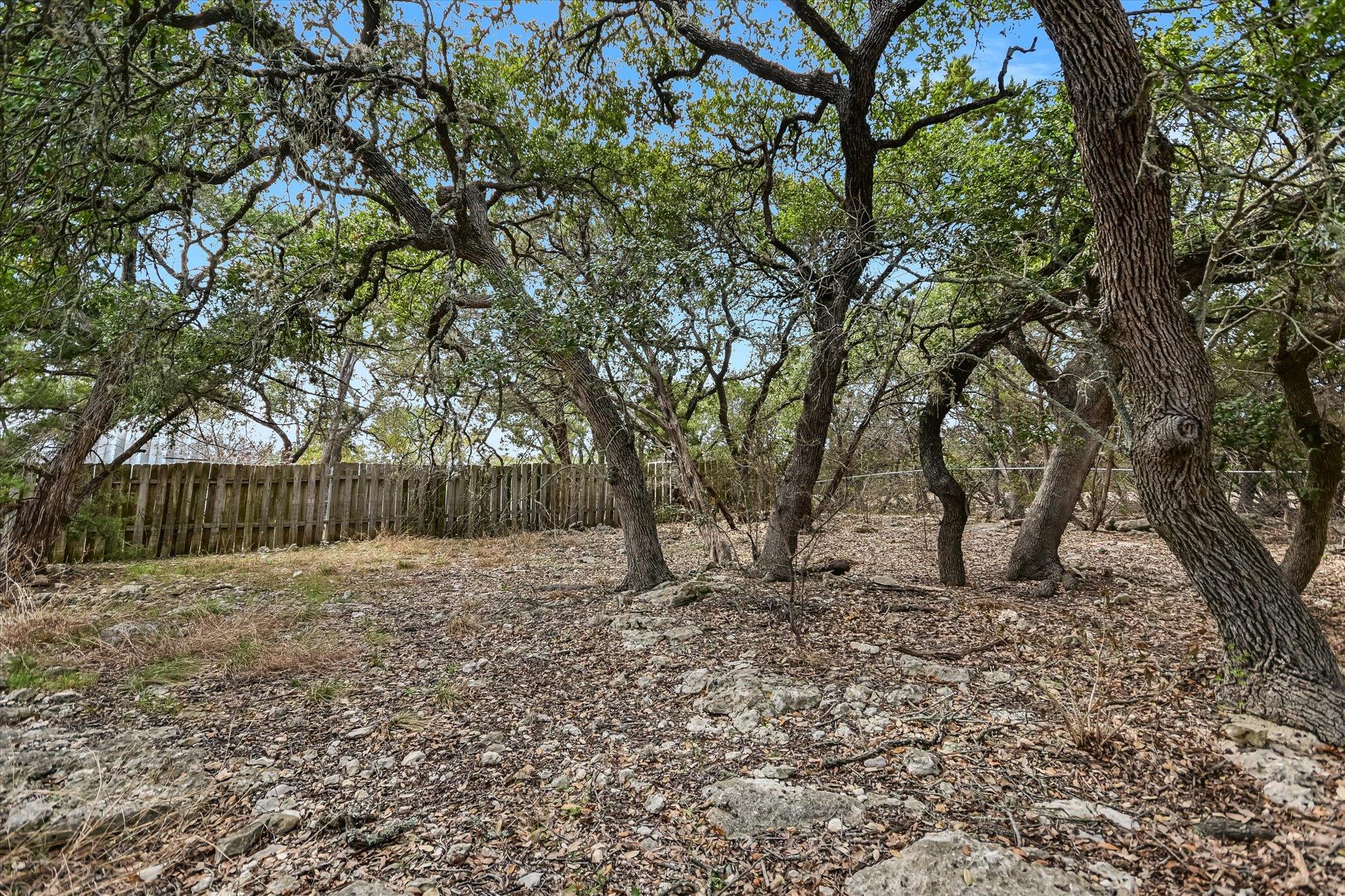 217 Rousey Street Canyon Lake TX 78133