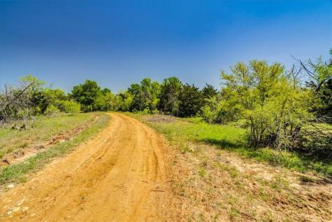 497 Mount Pleasant Road Cedar Creek TX 78612