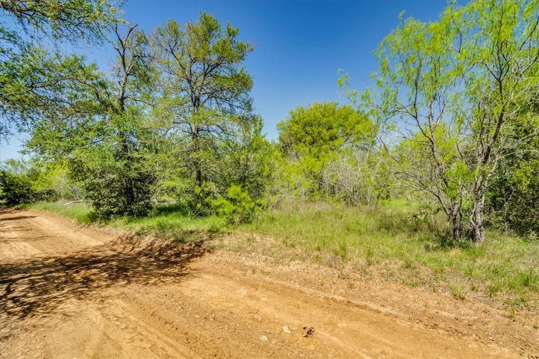 497 Mount Pleasant Road Cedar Creek TX 78612