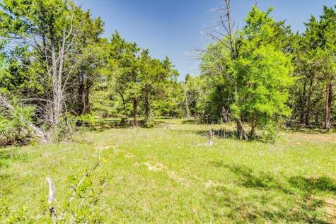 497 Mount Pleasant Road Cedar Creek TX 78612