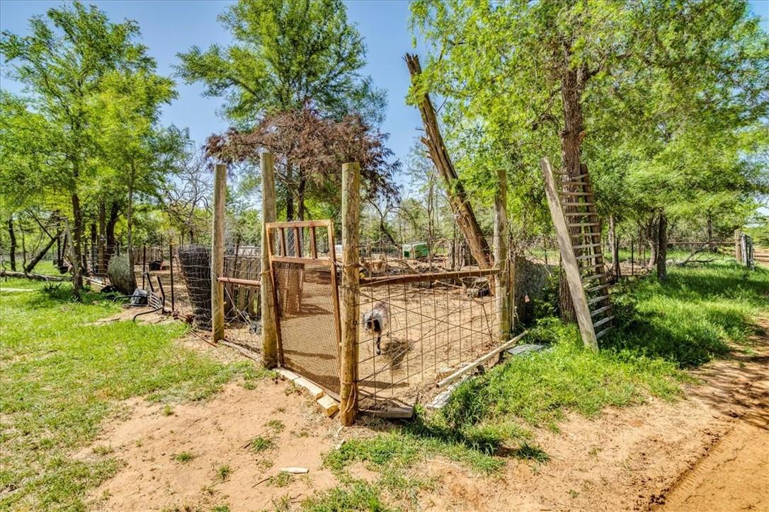 497 Mount Pleasant Road Cedar Creek TX 78612