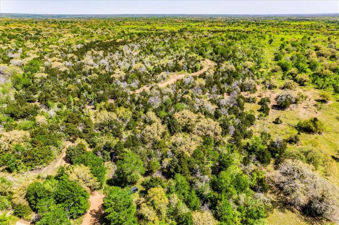 497 Mount Pleasant Road Cedar Creek TX 78612