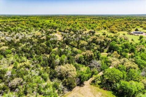 497 Mount Pleasant Road Cedar Creek TX 78612