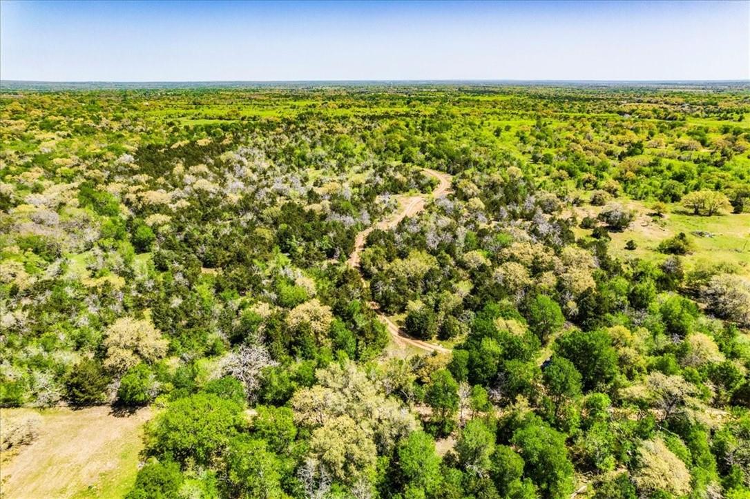 497 Mount Pleasant Road Cedar Creek TX 78612