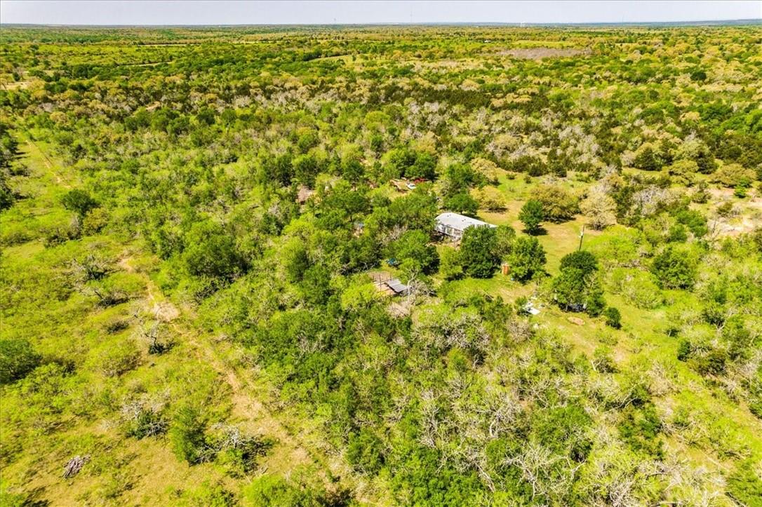 497 Mount Pleasant Road Cedar Creek TX 78612