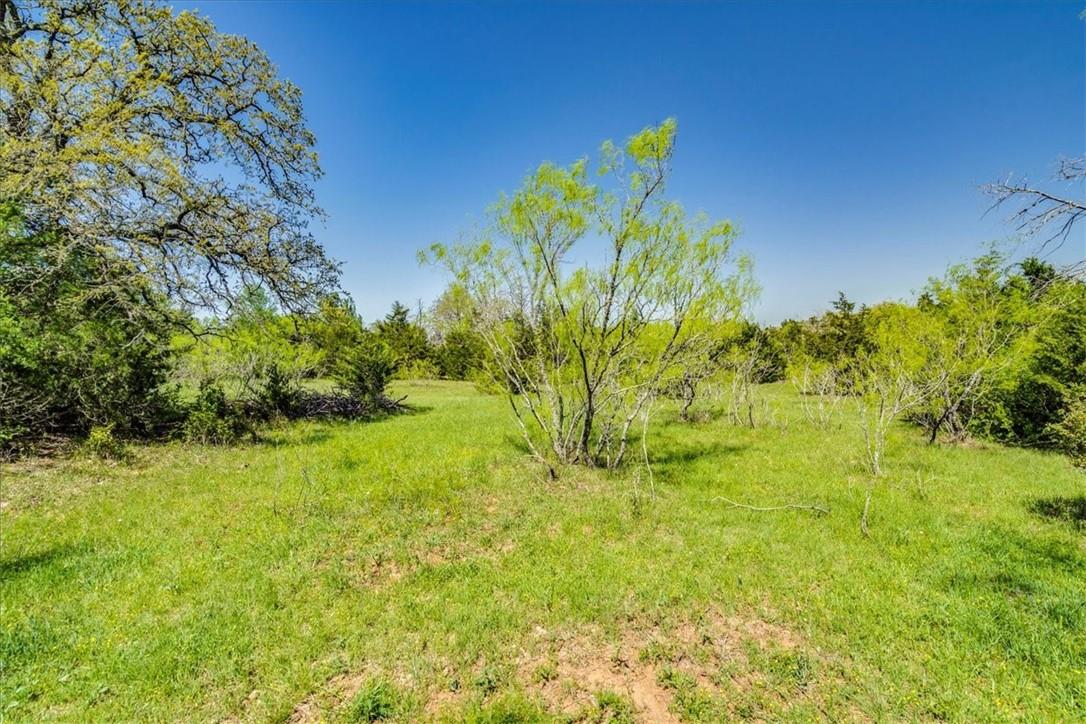 497 Mount Pleasant Road Cedar Creek TX 78612