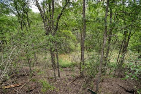 243 Piney Ridge Drive Bastrop TX 78602