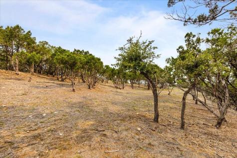 4519 Crawford Road Spicewood TX 78669