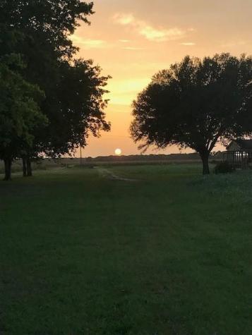 9202 N Fm 331 Bellville TX 77418