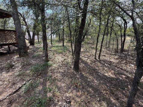 435 Horseshoe Drive Kingsland TX 78639