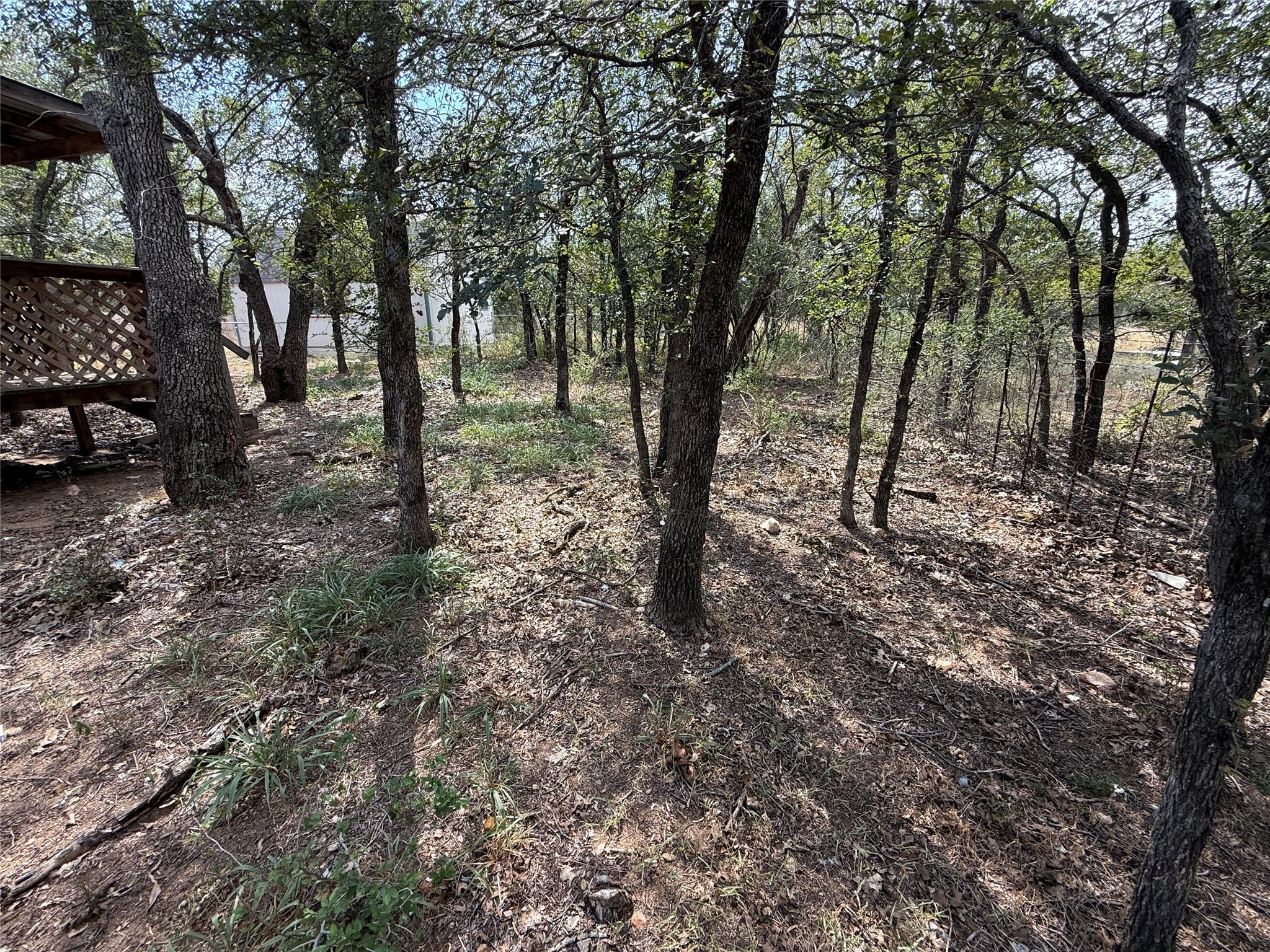 435 Horseshoe Drive Kingsland TX 78639