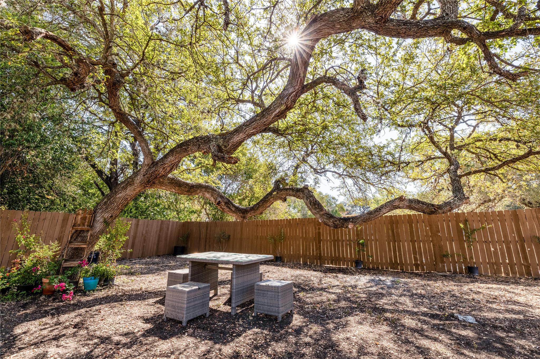 106 E Olive Street Lockhart TX 78644