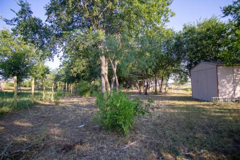 205 Arrowhead Cove Kyle TX 78640