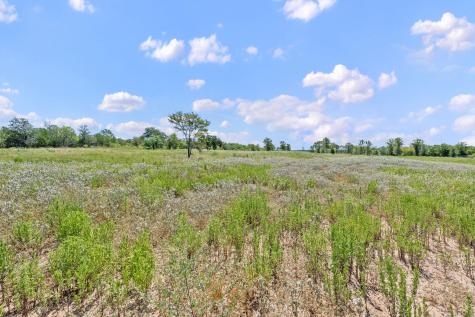 1385 Pettytown Road Dale TX 78616
